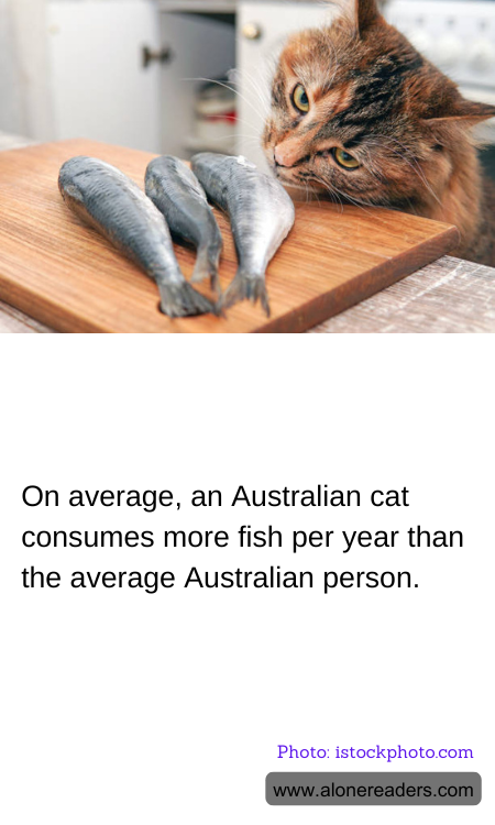 General Knowledge Learning Cards