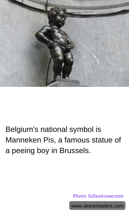 General Knowledge Learning Cards