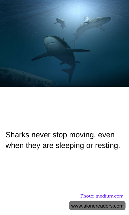 General Knowledge Learning Cards