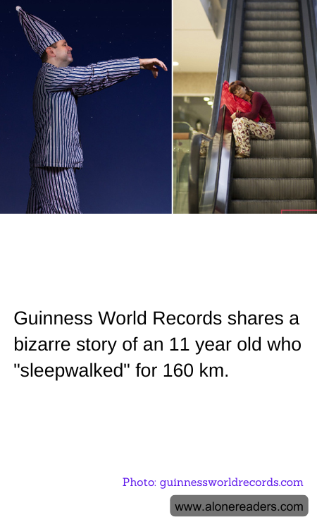 General Knowledge Learning Cards