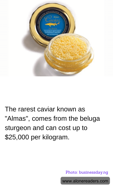 The rarest caviar known as "Almas", comes from the beluga sturgeon and can cost up to $25,000 per kilogram.