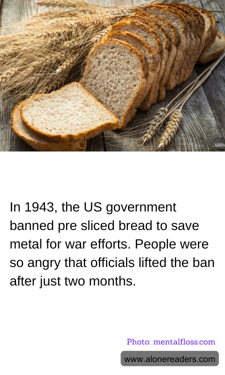 General Knowledge Learning Cards