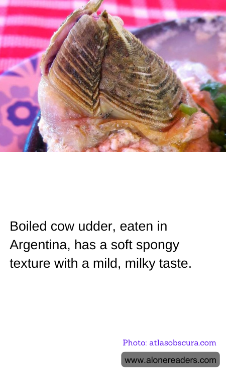 Boiled cow udder, eaten in Argentina, has a soft spongy texture with a mild, milky taste.