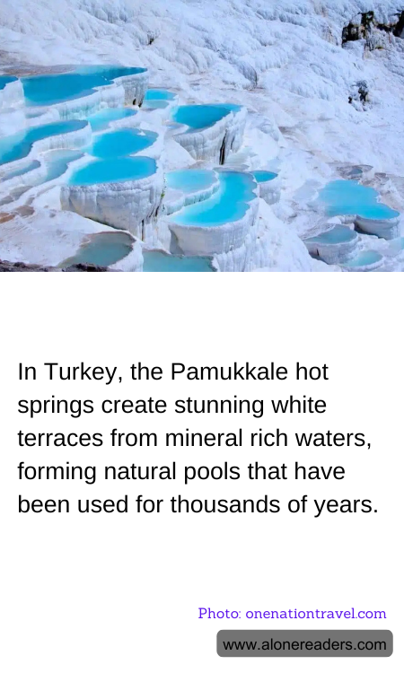 General Knowledge Learning Cards