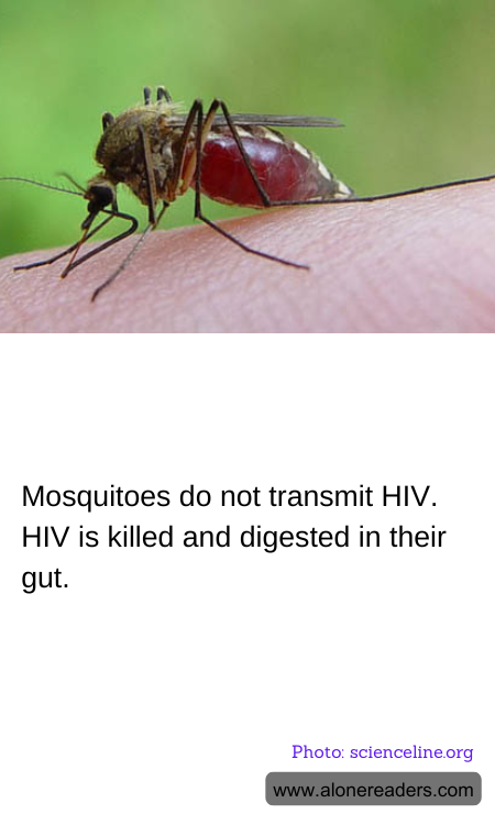 General Knowledge Learning Cards