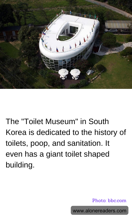 General Knowledge Learning Cards