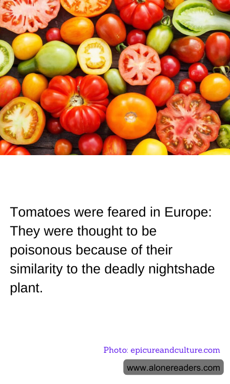 Tomatoes were feared in Europe: They were thought to be poisonous because of their similarity to the deadly nightshade plant.