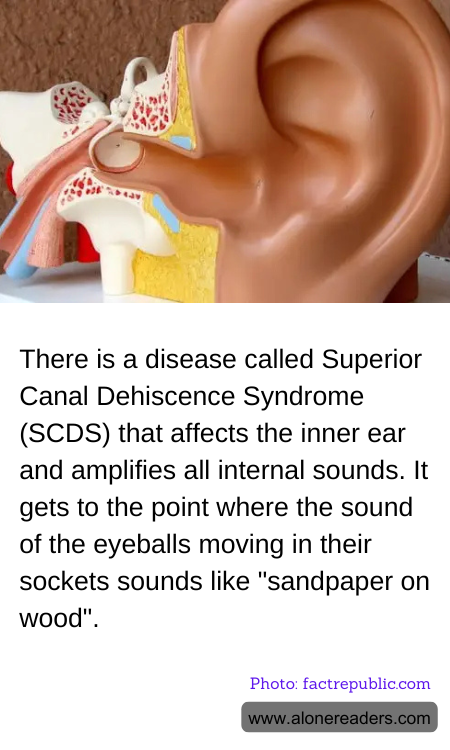 General Knowledge Learning Cards