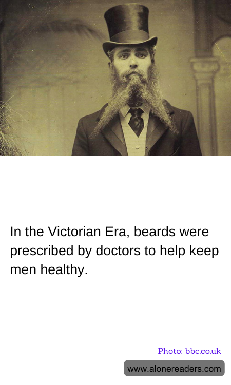 General Knowledge Learning Cards