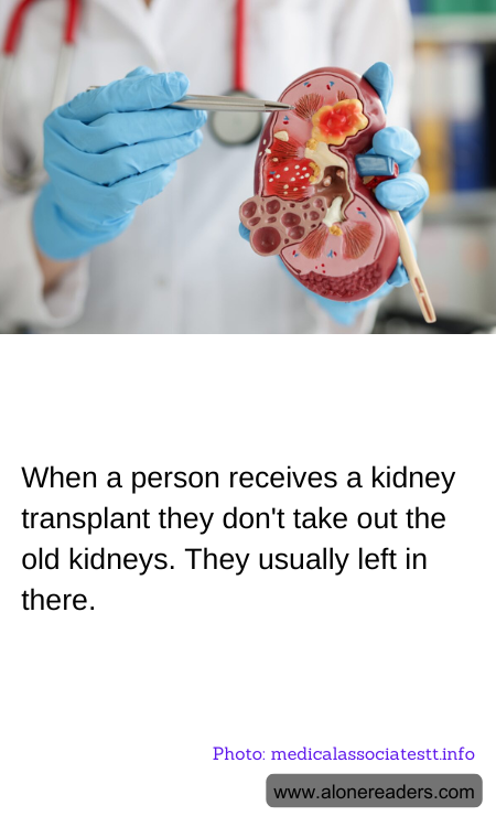 General Knowledge Learning Cards