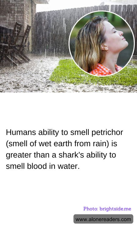 General Knowledge Learning Cards