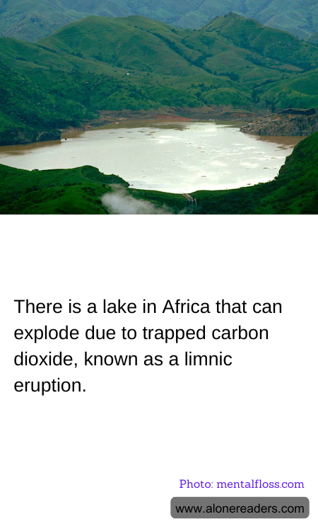 General Knowledge Learning Cards