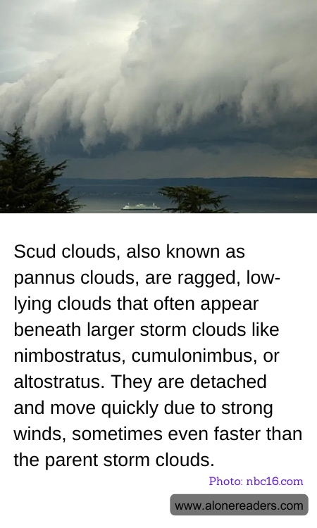 Scud clouds, also known as pannus clouds, are ragged, low-lying clouds that often appear beneath larger storm clouds like nimbostratus, cumulonimbus, or altostratus. They are detached and move quickly due to strong winds, sometimes even faster than the parent storm clouds.