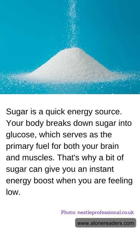 General Knowledge Learning Cards