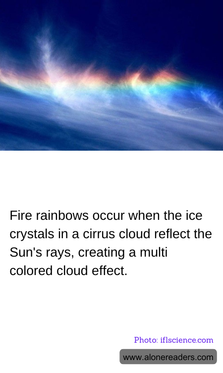 General Knowledge Learning Cards