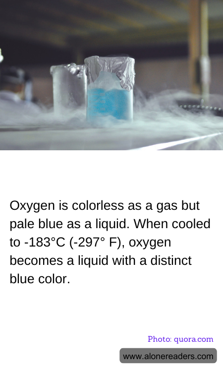 General Knowledge Learning Cards