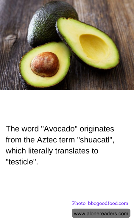 The word "Avocado" originates from the Aztec term "shuacatl", which literally translates to "testicle".