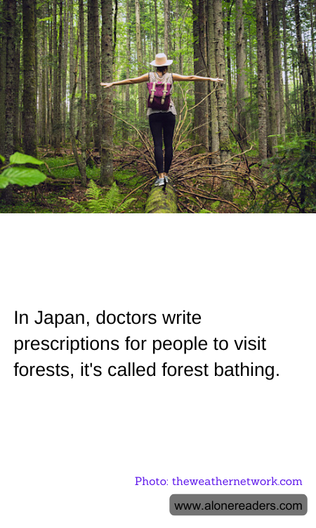 General Knowledge Learning Cards