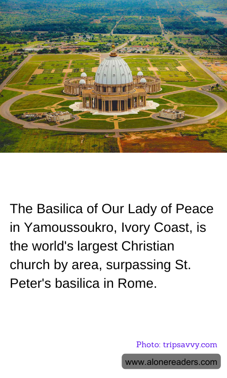 General Knowledge Learning Cards