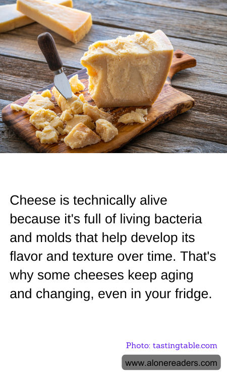 Cheese is technically alive because it's full of living bacteria and molds that help develop its flavor and texture over time. That's why some cheeses keep aging and changing, even in your fridge.