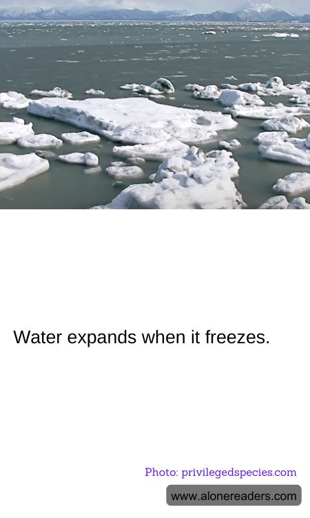 General Knowledge Learning Cards