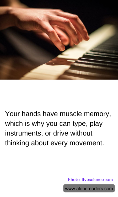 General Knowledge Learning Cards