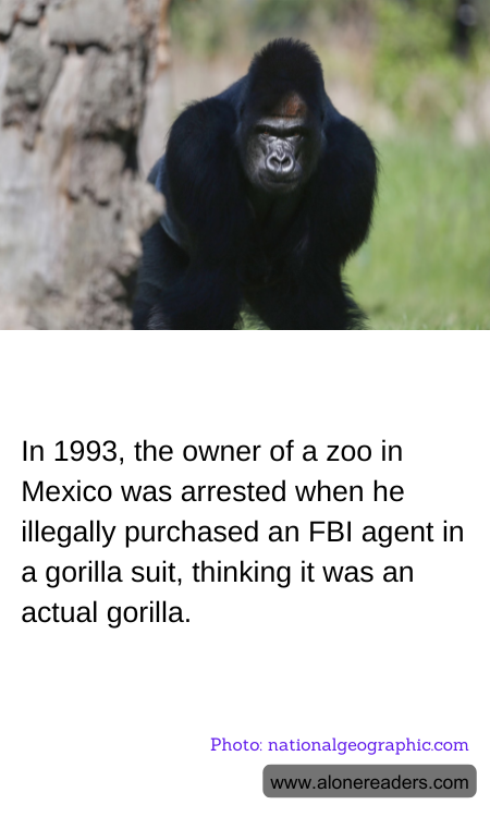 General Knowledge Learning Cards