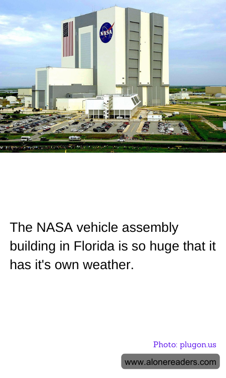 General Knowledge Learning Cards