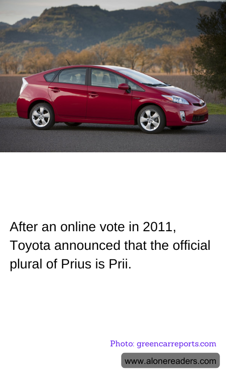 General Knowledge Learning Cards