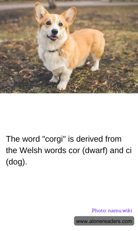 General Knowledge Learning Cards