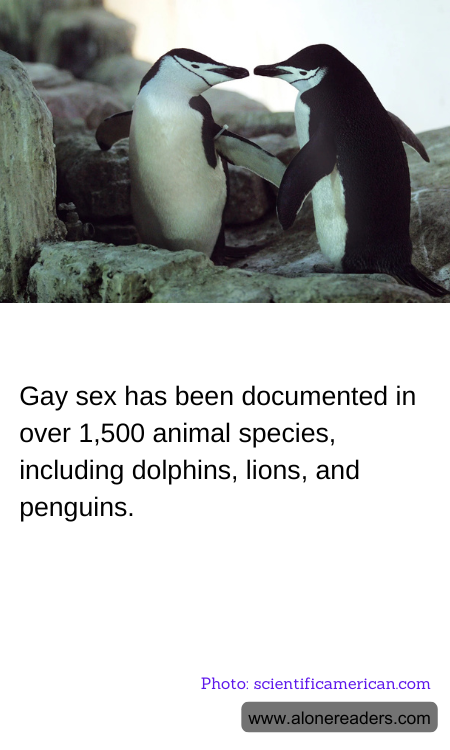 General Knowledge Learning Cards