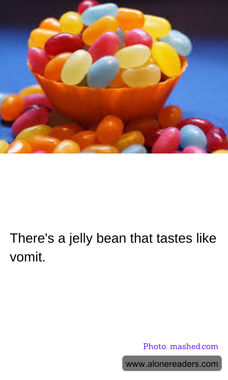 General Knowledge Learning Cards