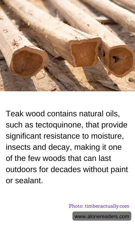 Teak wood contains natural oils, such as tectoquinone, that provide significant resistance to moisture, insects and decay, making it one of the few woods that can last outdoors for decades without paint or sealant.