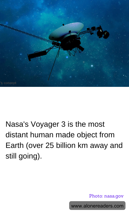 General Knowledge Learning Cards