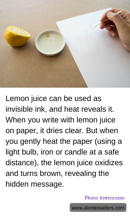 General Knowledge Learning Cards