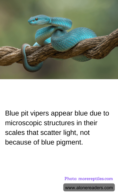 General Knowledge Learning Cards