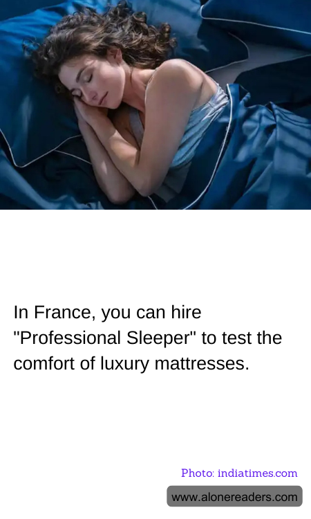 General Knowledge Learning Cards