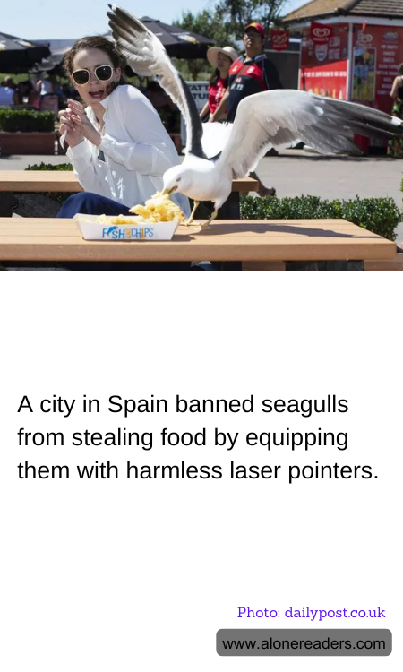 General Knowledge Learning Cards