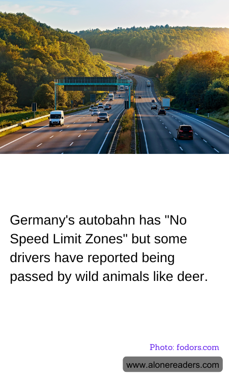 General Knowledge Learning Cards