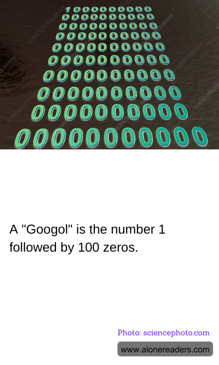 General Knowledge Learning Cards