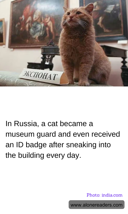 In Russia, a cat became a museum guard and even received an ID badge after sneaking into the building every day.
