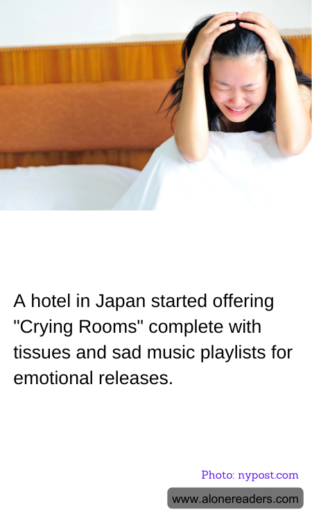 General Knowledge Learning Cards