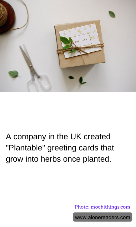 General Knowledge Learning Cards