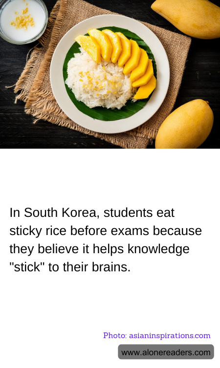 General Knowledge Learning Cards