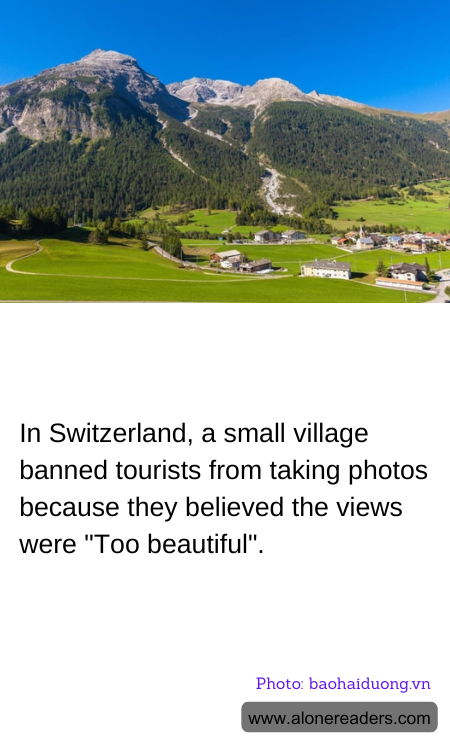 General Knowledge Learning Cards