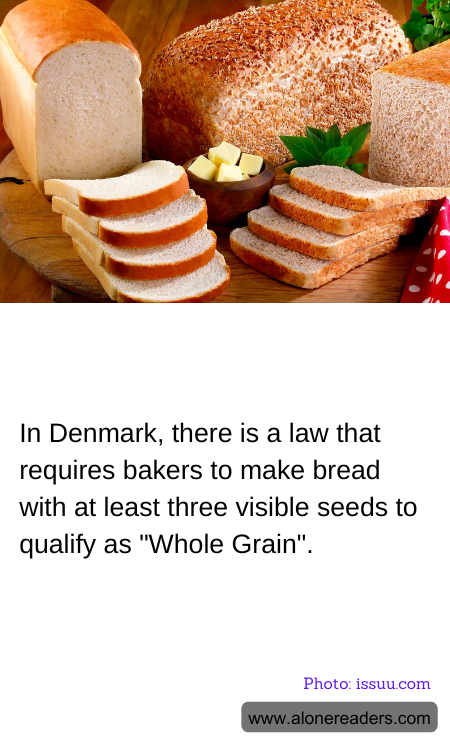 General Knowledge Learning Cards