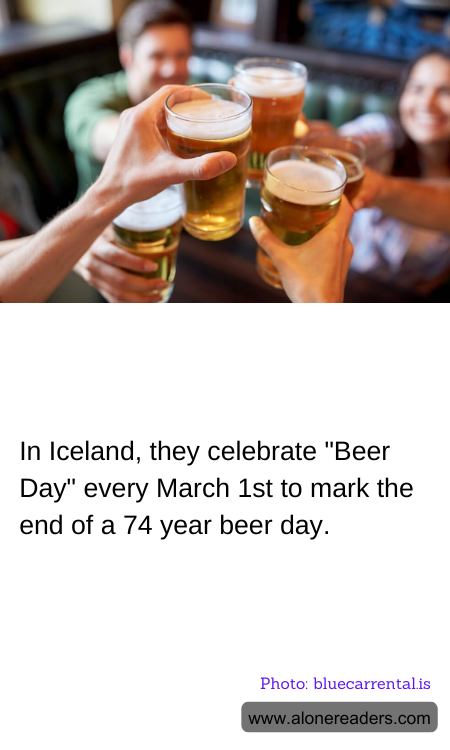 General Knowledge Learning Cards