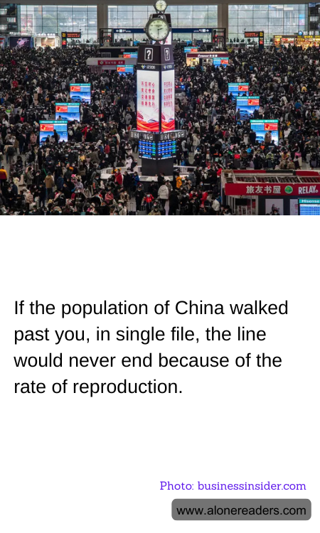 If the population of China walked past you, in single file, the line would never end because of the rate of reproduction.