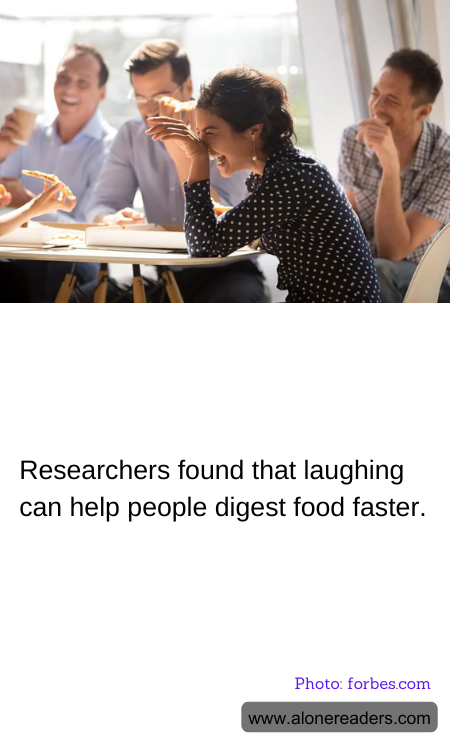 General Knowledge Learning Cards