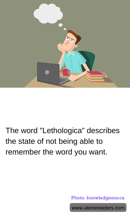 General Knowledge Learning Cards